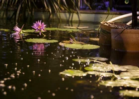 Коллектив ботсада ПГНИУ опасается гибели редких растений на фоне понижения температуры