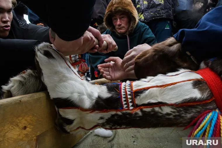 В ЛДПР предложили распространить права КМНС на других жителей севера