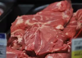 Компания, отравившая детей в Екатеринбурге, поставляла опасное мясо в школы