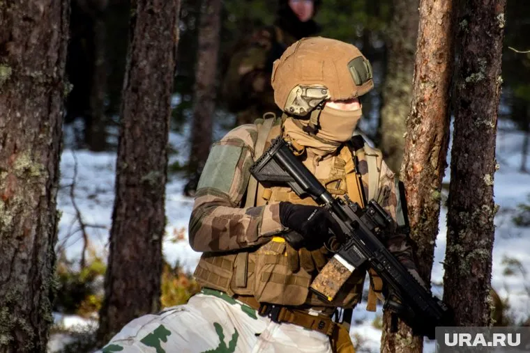 Иностранные наемники в рядах ВСУ являются кадровыми военными НАТО