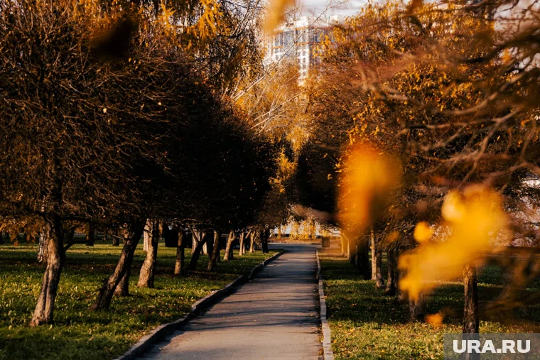 18 октября - день, богатый на праздники