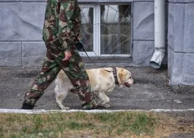 Школьник «заминировал» более 800 школ в РФ от неразделенной любви