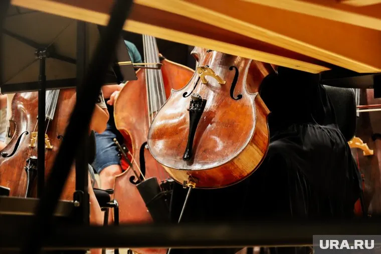 В филармонии существует потребность в новых музыкантах