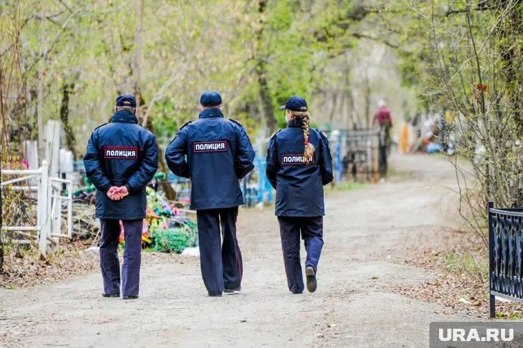 Труп обнаружили в лесном массиве у Митрофановского кладбища