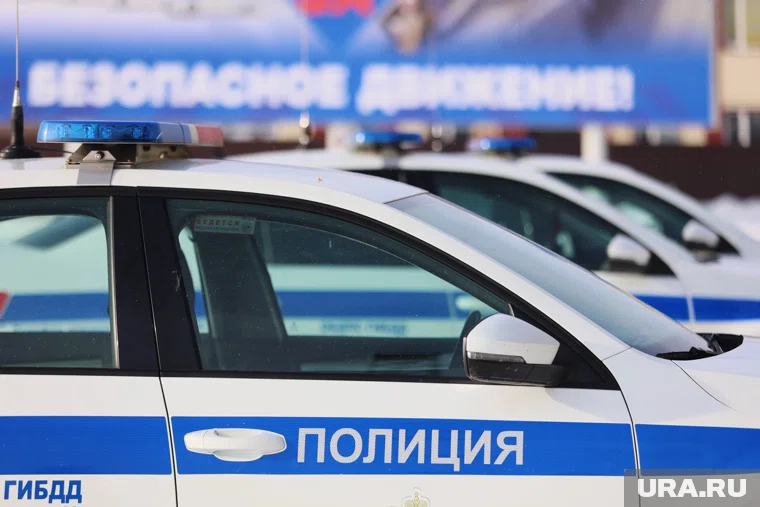 В Курганской области водители часто гибнут на трассах при обгонах грузовиков