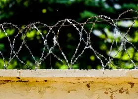 Фотография из галереи