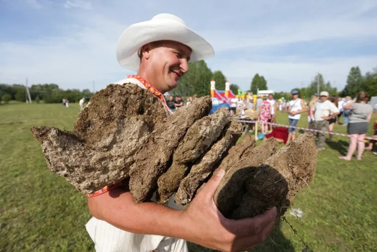 Веселый коровяк в деревне Крылово, Пермь