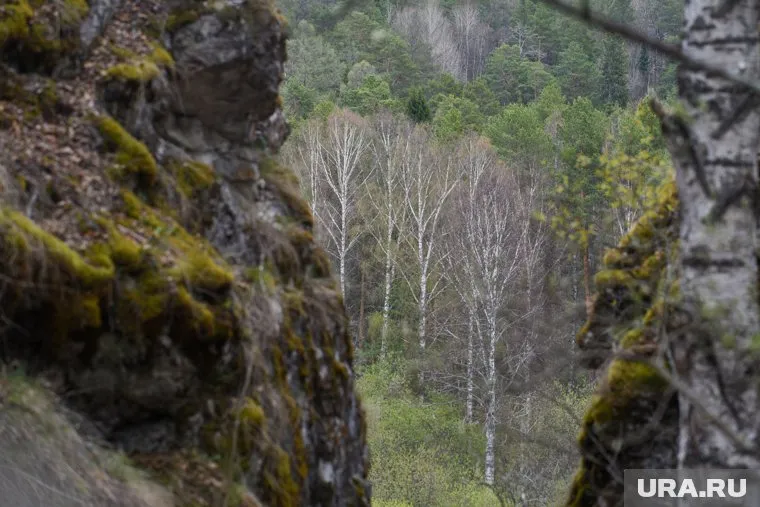 Размер платы на одного посетителя составляет 150 рублей