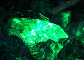 Фотография из галереи