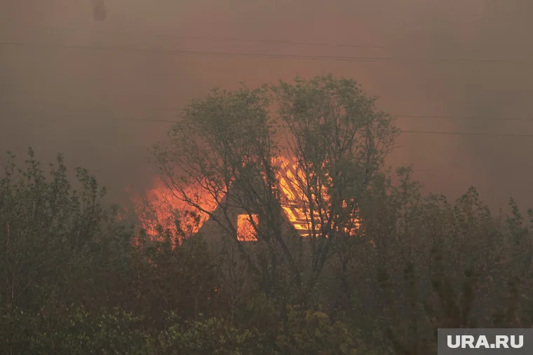 В сгоревшем доме нашли два трупа