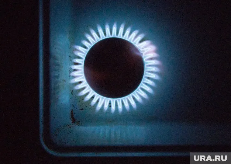 Цель Евросоюза сократить потребление газа является лишь «показухой», заявил Штеффан Котре