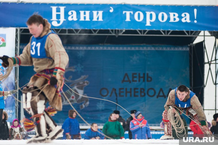 День оленевода в ЯНАО: история праздника от язычества до наших дней. Видео