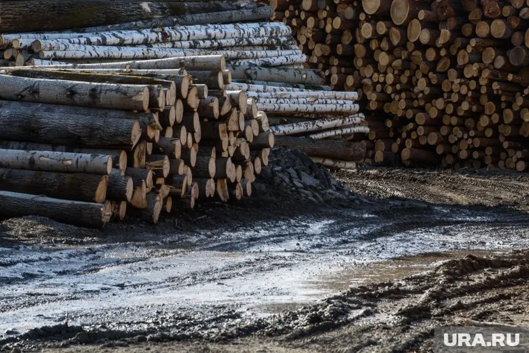 Мигранты ночевали прямо в помещениях лесопилки