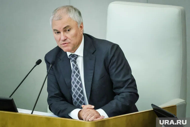 Вячеслав Володин заявил об отсутствии Зеленского и его команды на Украине в будущем