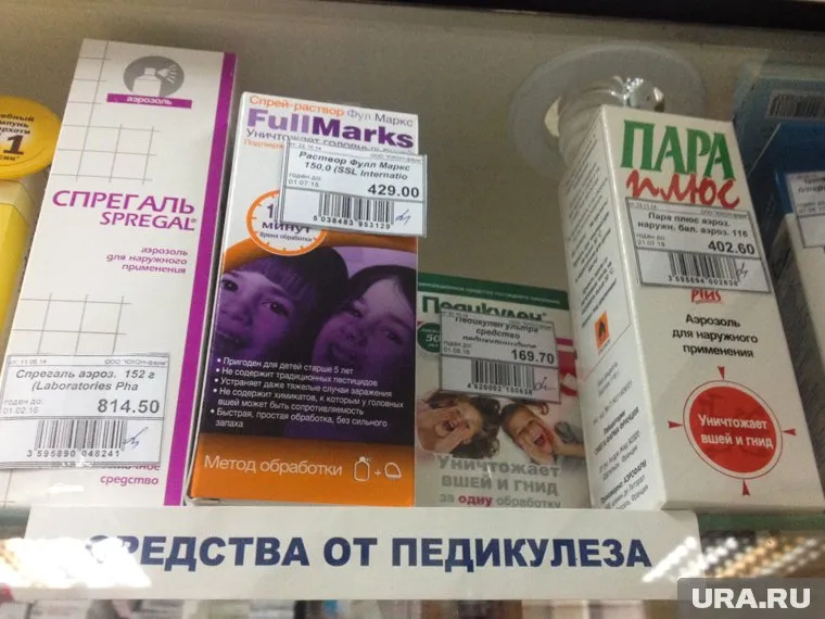 С начала 2024 года зафиксирован 251 случай педикулеза