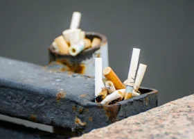 Россиян предупредили о штрафе за выброшенный из окна окурок