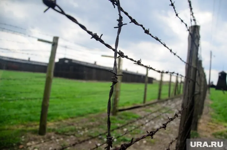 Женщине грозит тюремное заключение