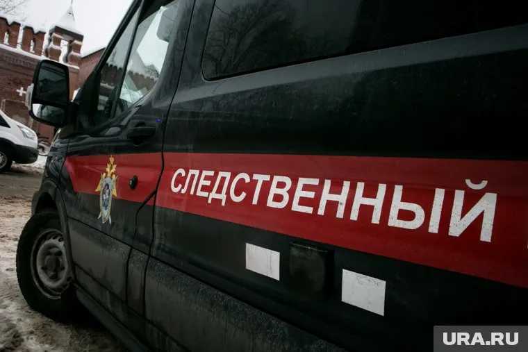 Курганские следователи ранее возбудили уголовное дело по статье о халатности врачей
