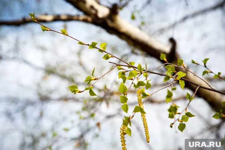 Начало апреля будет необычно теплым, рассказал Роман Вильфанд