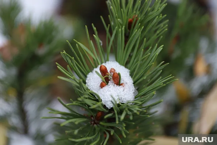 Синоптики ожидают, что температура воздуха к выходным поднимется