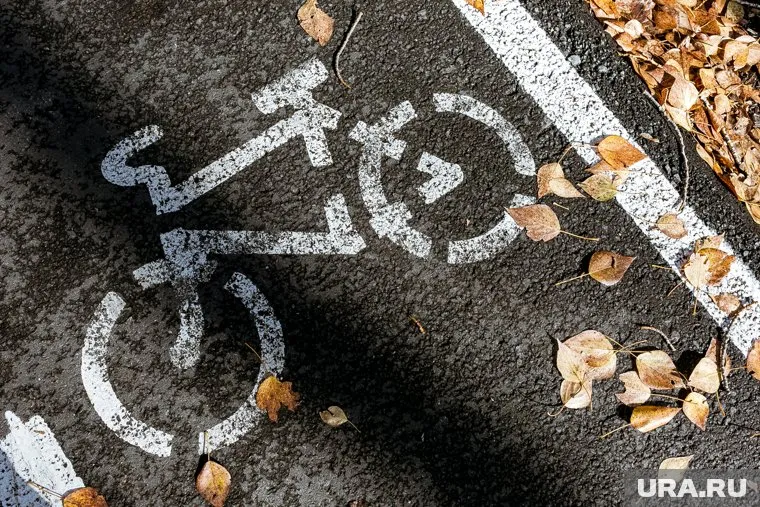 Джо Байден упал с остановившегося велосипеда, и это заметили в соцсетях