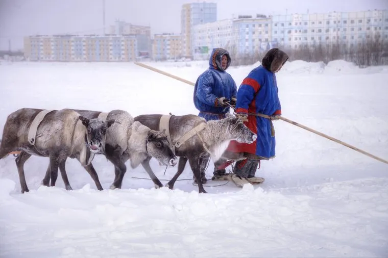 Туризм. День оленевода. ЯНАО