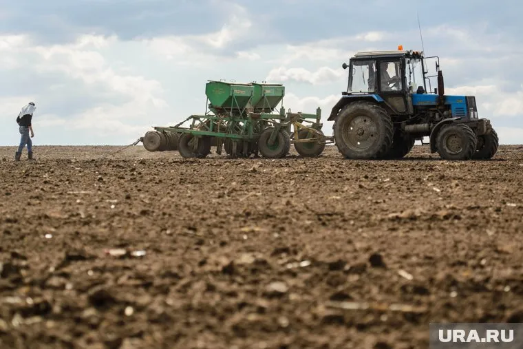 Новый приоритет для российских властей — повышение качества жизни на селе
