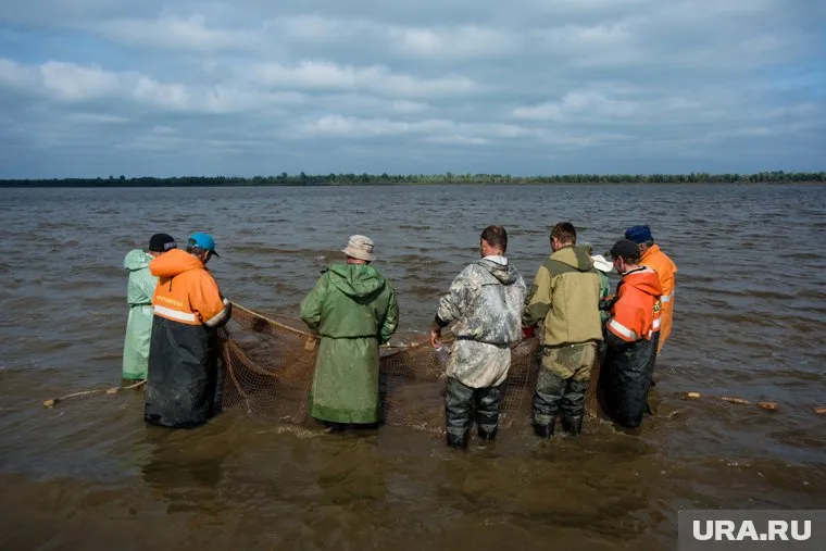 Промышленный лов в ЯНАО ставят на «цифру» 