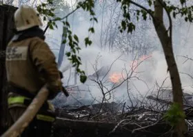 Фотография из галереи
