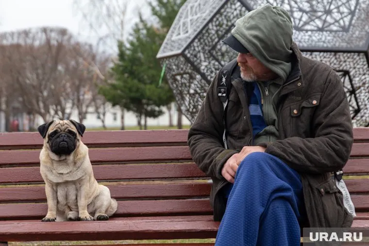 Кинологические курсы помогут защитить собаку от внешних опасностей, сказал Владимир Бурматов