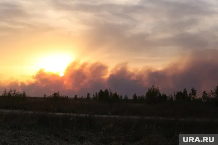 Крупный пожар произошел в районе садоводства «Малиновка» под Курганом
