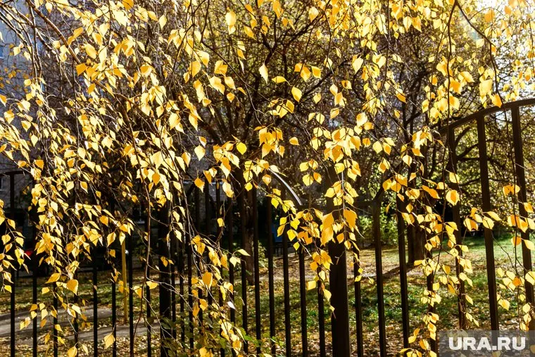 В Сибири и на Урале будет до +28 градусов