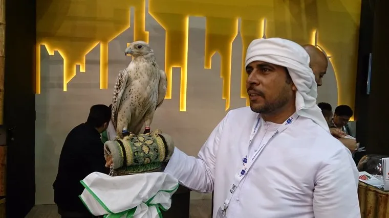 Флайдубай, полет бизнес-классом на самолете Боинг-737-800 в Дубай, ОАЭ. 4-7 мая 2014