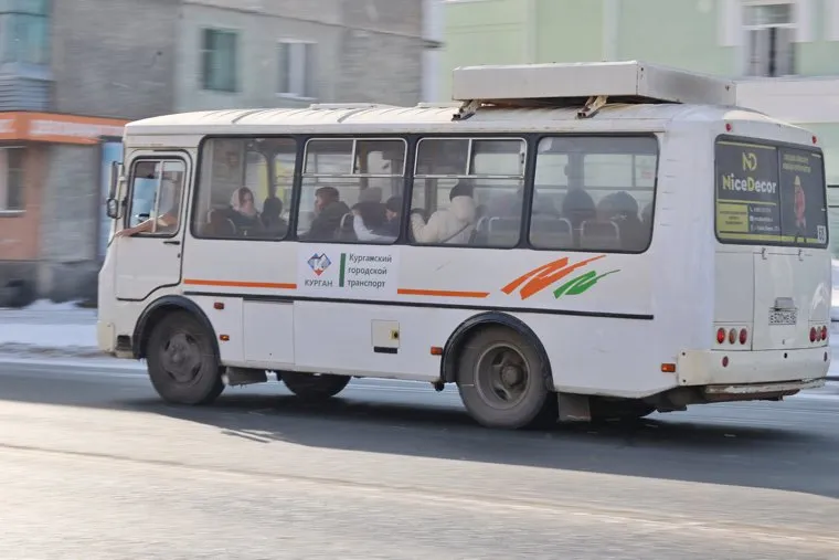 Город. Курган