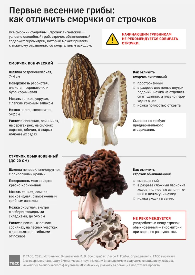 файл