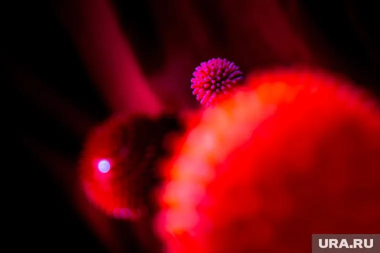 Предок коронавируса также распространялся на территории Южного Китая