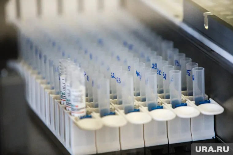 Новый биоуголь станет привлекательным для растениеводства