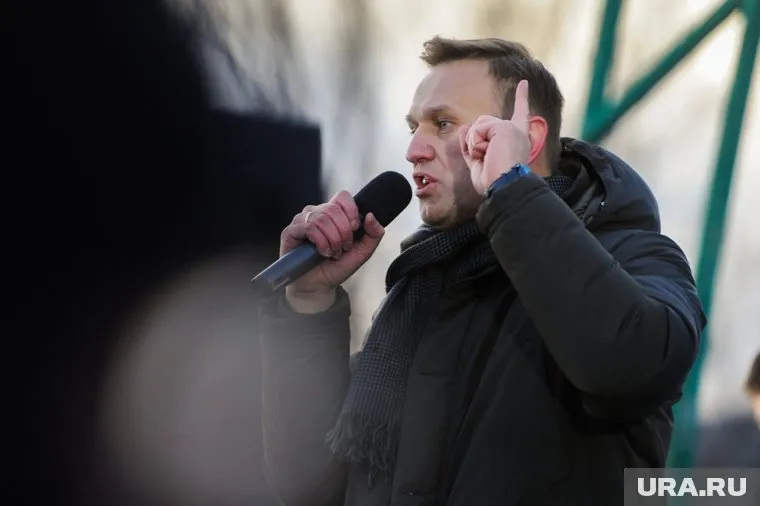 Блогер Алексей Навальный прилетел из Германии