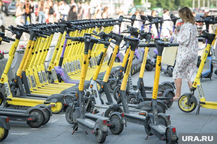 Искусственный интеллект поможет контролировать порядок и чистоту на улицах