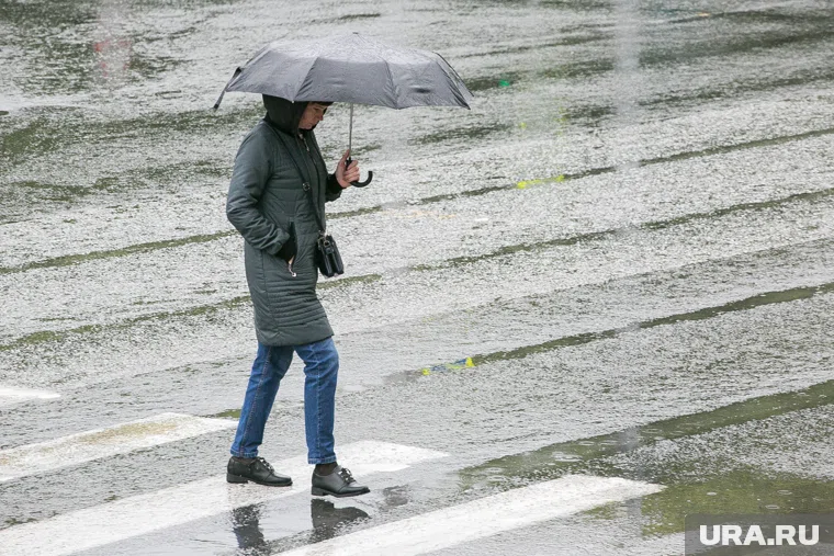 Днем ожидается небольшой дождь, возможен мокрый снег