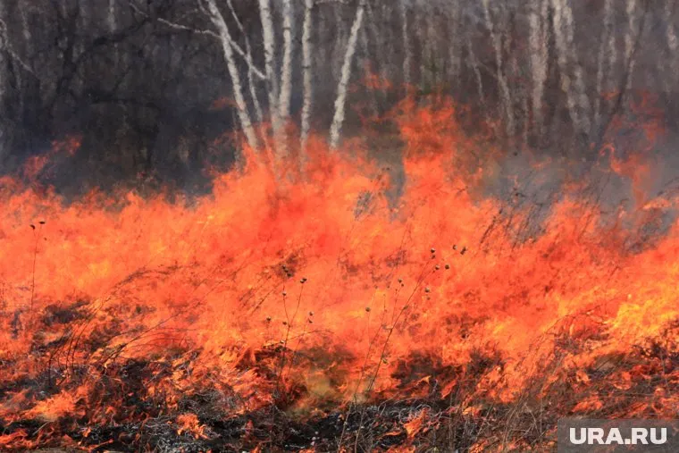 Огонь все ближе к столице Зауралья