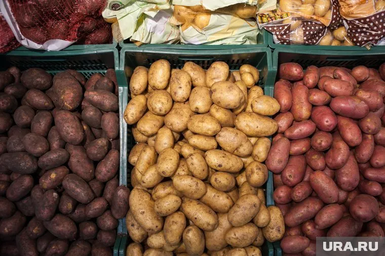Цены на продукты в России все время растут