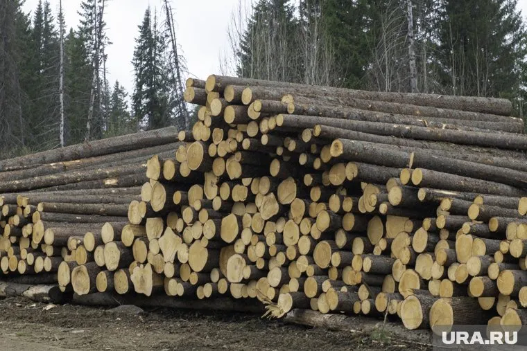 Из ХМАО на экспорт отправляют пиломатериалы из хвойных пород дерева