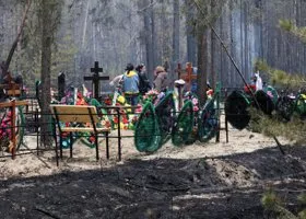 Фотография из галереи