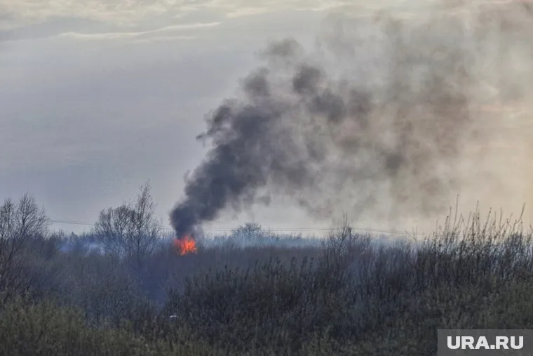 В Кургане вдоль шоссе Тюнина горит поле