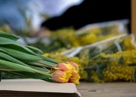 В Перми рухнули цены на тюльпаны