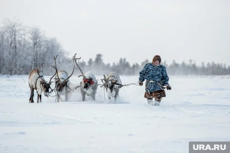 Пока родители кочуют по тундре, их дети из школы-интерната избили педагога