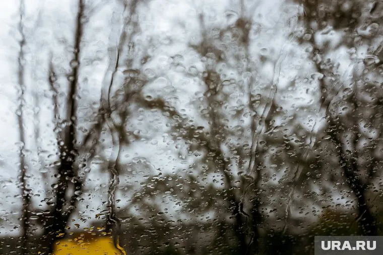 По данным портала Gismeteo, дождливая погода в Тюменской области затянется на несколько дней