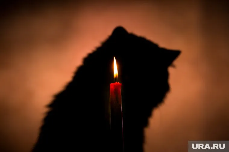 Арт-резиденция в Ханты-Мансийске зовет детей на квест в формате спиритического сеанса