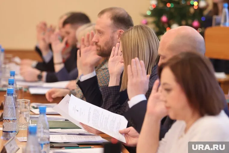 Городская дума приняла бюджет на 2024 год без участия действующего мэра Елены Ситниковой